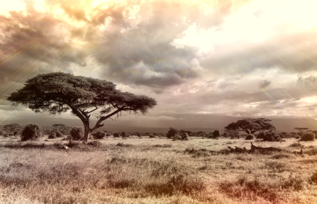 Who Pays for Africa’s Climate Future?