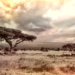 Africa's Climate Future