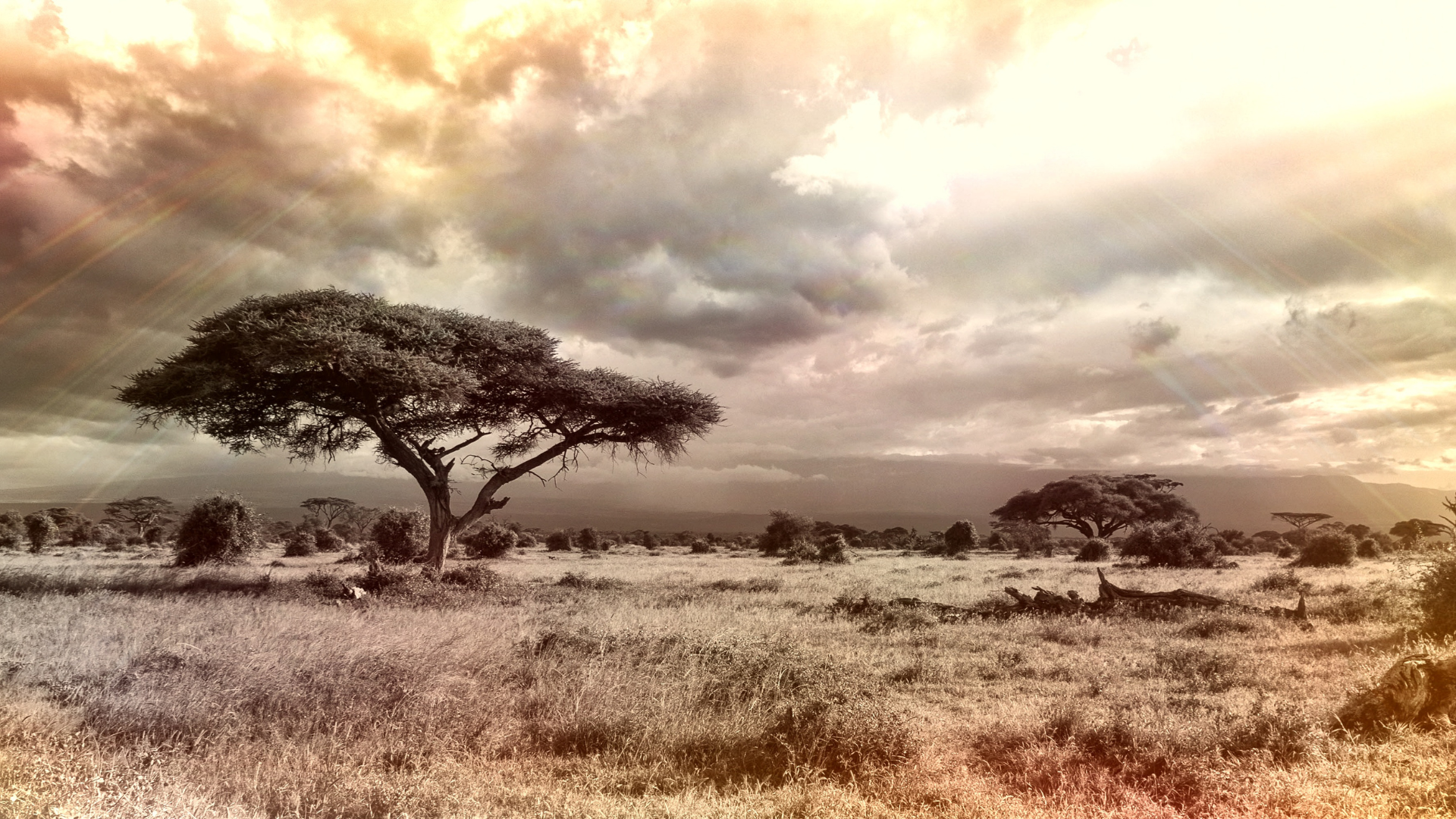 Who Pays for Africa’s Climate Future?
